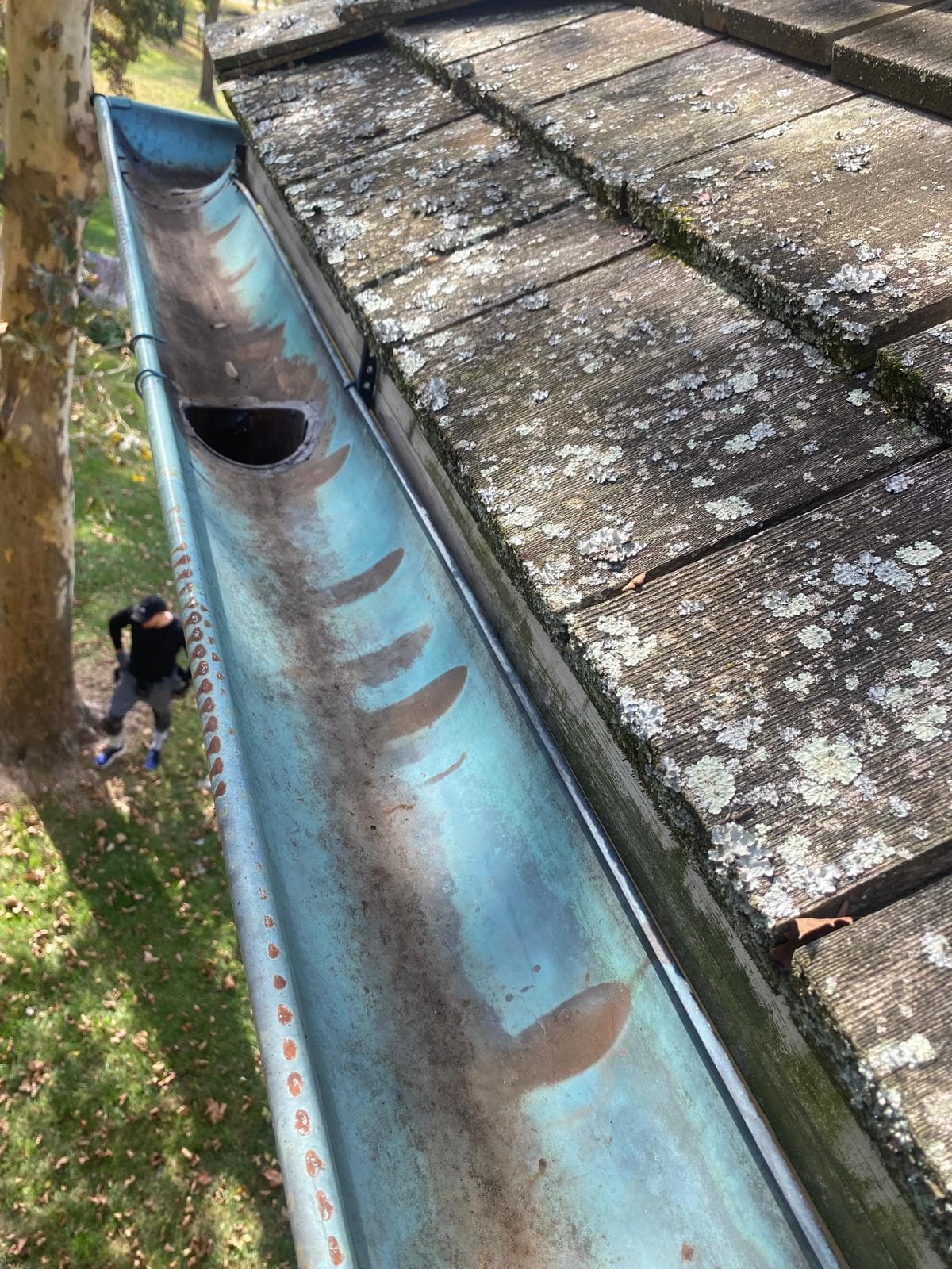 After — Gutter Cleaning