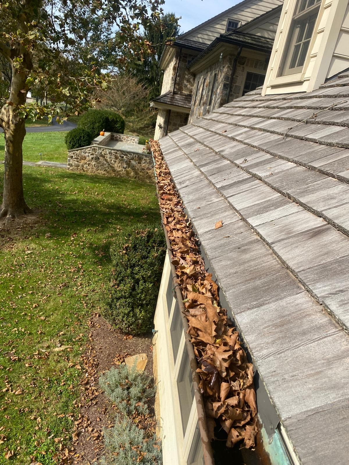 Before — Gutter Cleaning
